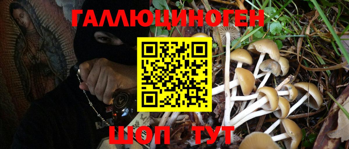 Галлюциногенные грибы Magic Shrooms Артём